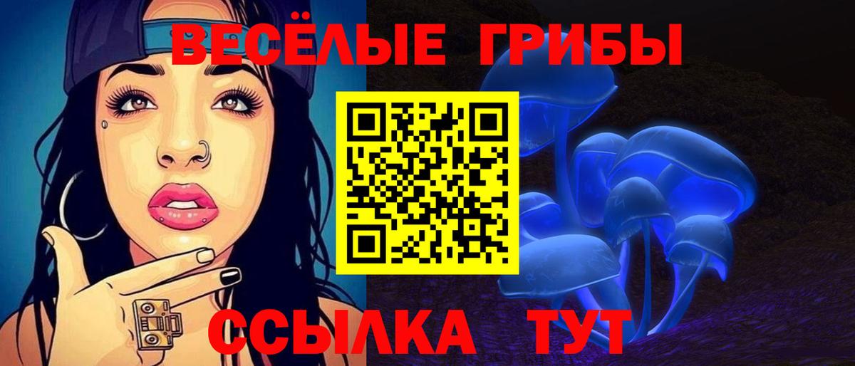 Саяногорск  Галлюциногенные грибы Cubensis  Вход с VPN  Галлюциногенные грибы прущие грибы 